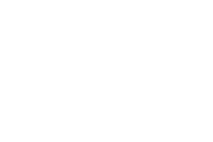 Mejor cortometraje documental - El Amoragaor | BRAIN FILM FEST 2025