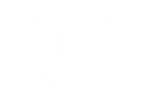 Selección de Inquilinos en Guadix Iridiscente GIFIC 2026